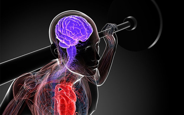 Bình an trong tâm trí mang lại sức khỏe cho não bộ